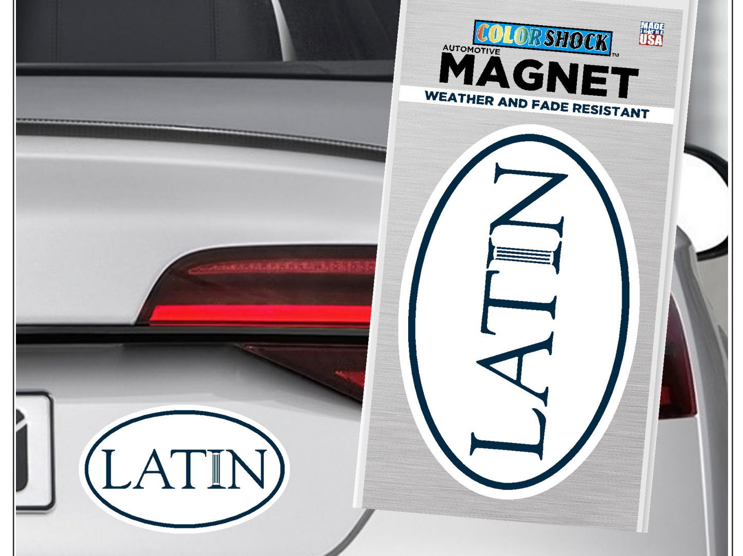 Oval LATIN Magnet