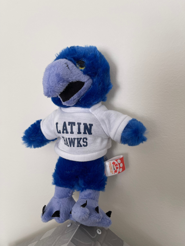 Hawk Victor E (Mascot)