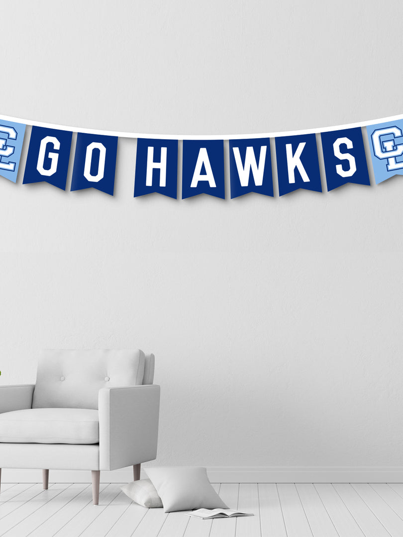 GO HAWKS Banner